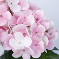 Bunga Hydrangea Sutra Buatan 5 Tangkai Grosir dengan Batang untuk Perlengkapan Toko Bunga, Dekorasi Meja, Dekorasi Pesta Pernikahan