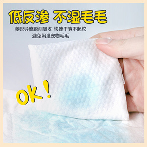 ผ้าอ้อมสัตว์เลี้ยงสำหรับสุนัข 10 ชิ้น ป้องกันการรั่วซึม ผ้าไม่ถักทอ กางเกงสำหรับสุนัขตัวเมียช่วงมีประจำเดือน - Product Image 5
