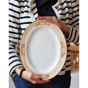 Richard Ginori Lago 12-Piece Complete Dinnerware <b>Set</b> Alviero Martini Decor for Weddings <b>Restaurants</b> for Including Hotel Plates - Product Image 1