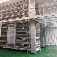Cage à poulets automatique de type H, collecte automatique des œufs, élimination du fumier, équipement avicole pour le marché africain, vente directe en Europe