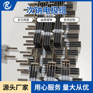 Ensemble d'électrodes au sodium hypochlorite Jinshi Kaitai JSKT24312 en titane haute précision pour l'industrie alimentaire - Product Image 5