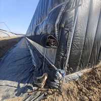 Serre tunnel en acier galvanisé en forme de C