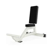 Chaise de musculation fixe professionnelle pour presse d'épaules, banc utilitaire vertical