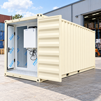 Conteneur frigorifique homologué CE de 40 pieds, conteneur congélateur profond pour le transport maritime international en chaîne du froid