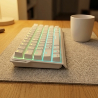 Clavier de jeu mécanique filaire USB Type C à 61 touches, commutateur rouge, brun, vert, rétroéclairage RVB, compact