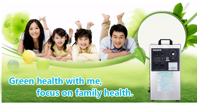 Портативный генератор озона 3G/Hr для очистки воздуха в офисном помещении