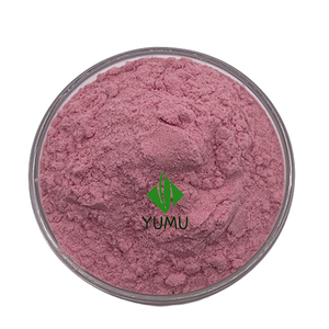 Cấp thực phẩm <span class=keywords><strong>Cranberry</strong></span> bột - Product Image 2