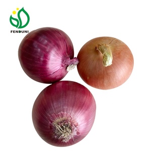 Người Mua Hành Tây Trắng <span class=keywords><strong>Dubai</strong></span> 50Mm/70Mm Thu Hoạch Mới Cho Tàu - Product Image 1