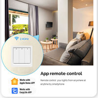 Interrupteur intelligent Homekit EU WIFI Bouton Lumière Interrupteur mural Maison intelligente Neutre & Sans neutre Contrôle vocal Siri Alexa Google