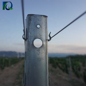 Todo tipo <span class=keywords><strong>de</strong></span> pilar <span class=keywords><strong>de</strong></span> Metal <span class=keywords><strong>de</strong></span> acero galvanizado para Viñedo - Product Image 2