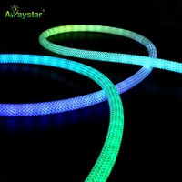 Lampu Strip Neon Fleksibel 360 Derajat dengan Tabung Silikon IP65 Tahan Air LED Strip untuk Pencahayaan Lanskap dengan Remote Control