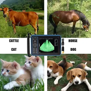 Scanner à ultrasons vétérinaire <span class=keywords><strong>portable</strong></span>, machine ultra <span class=keywords><strong>portable</strong></span> de contrôle de grossesse vétérinaire, pour l'utilisation de chat de chien de cheval de vache de mouton de porc - Product Image 6