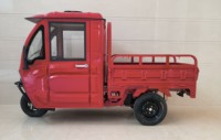 Tricycle électrique cargo à 3 roues pour adultes Chongqing Cheetah Power ATV - 2026