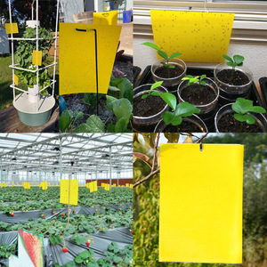 Yegbong Tablero azul de doble cara Thrips Invernaderos Orchard Armyworm <span class=keywords><strong>Killing</strong></span> Small Flies Fruit - Product Image 4