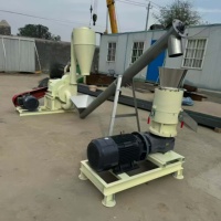 Granulateur de pellets de bois CE pour coques de riz, pailles, biomasse, sciure de bois, avec moteur à roulement et engrenage, pour le chauffage agricole et domestique