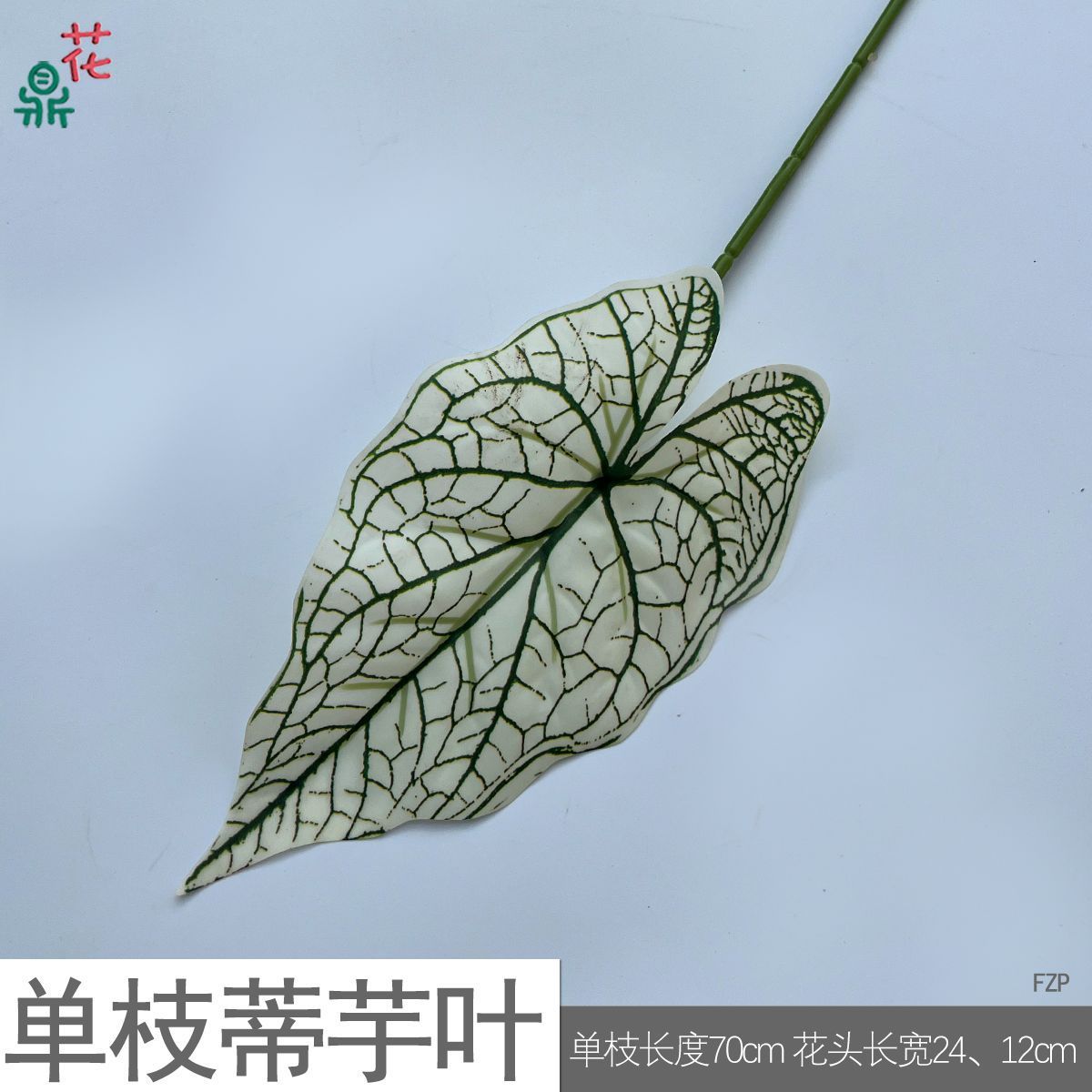 Feuilles de taro à tige unique FZP Vert rayé blanc