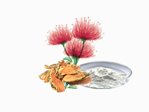 有機<span class=keywords><strong>Rhodiola</strong></span> <span class=keywords><strong>Rosea</strong></span>植物根エキス3% 、10% 、98% サリドロシド