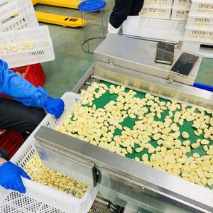 Çin'den Soyulmuş Taze Sarımsak Granülleri ve Vakumlu Paketlenmiş Sarımsak Granülleri Toptan Satışında Uzmanlaşmıştır - Product Image 4