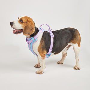 Oem Neoprene Teddy Modern mewah dapat disesuaikan kalung anjing gratis set <span class=keywords><strong>Harness</strong></span> tren terbaru untuk anjing anak anjing liburan - Product Image 5