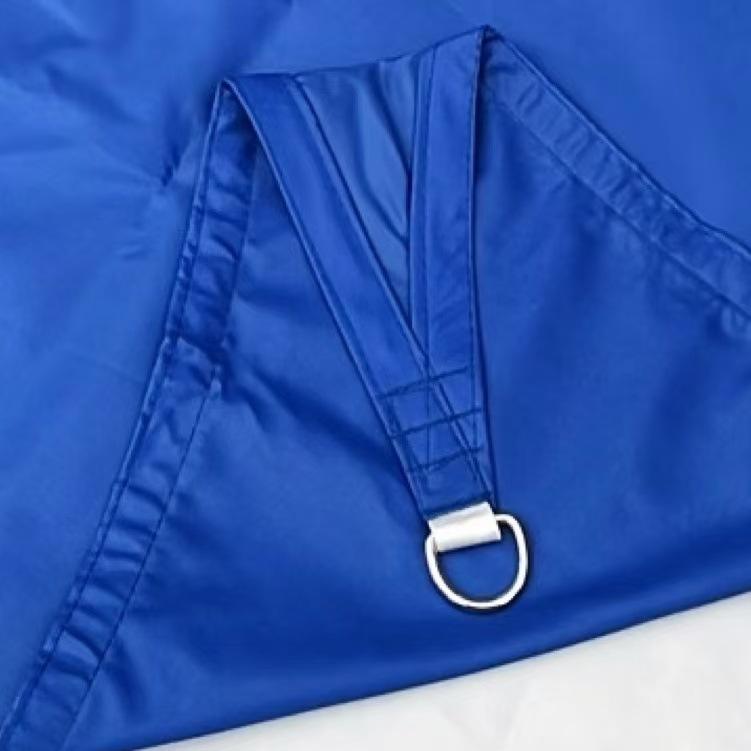 รอยัลบลู