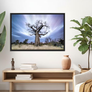 Baobab Tree <b>Canvas</b> Print: African Nature Landscape Decor,BLACK <b>FRAMED</b> <b>CANVAS</b> - Product Image 3