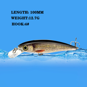 10cm/12.7g di esca artificiale galleggiante di pesciolini per la pesca della spigola di carpe e trote in barca oceanica per i corsi d'acqua del fiume e del lago - Product Image 2