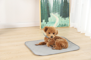 Sıcak satış köpek eğitim yeniden kullanılabilir köpek idrar işemek Mat yıkanabilir köpek Pet eğitim köpek tuvalet pedi - Product Image 6