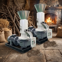 Nouvelle machine complète de fabrication de granulés de sciure de bois avec une capacité de 600-800 kg/heure, moulin à granulés de sciure de bois biomasse, moteur 55 kW, 380V