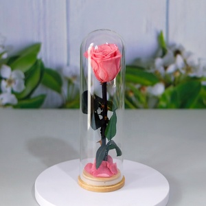 2024 Regalo de <span class=keywords><strong>Cumpleaños</strong></span> flor preservada Rosa cúpula de cristal regalos para mujeres <span class=keywords><strong>rosas</strong></span> preservadas con tallo rosa de cristal flores eternas - Product Image 3