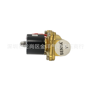 Vanne solénoïde Senya 2W-250-25 1/2 pouce AC 220 V pour le contrôle de l'eau dans les systèmes de plomberie et pneumatiques - Product Image 1