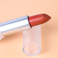 Couleur à lèvres nude longue tenue imperméable à l'eau, étiquette privée, tubes personnalisés avec logo, vente en gros