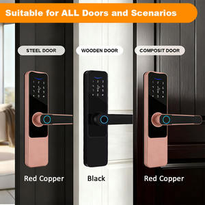 Poignée de porte intelligente <span class=keywords><strong>WiFi</strong></span> en bois avec empreinte digitale et mot de passe Serrure de porte de type <span class=keywords><strong>code</strong></span> avec option de stockage de données sur carte mémoire - Product Image 3