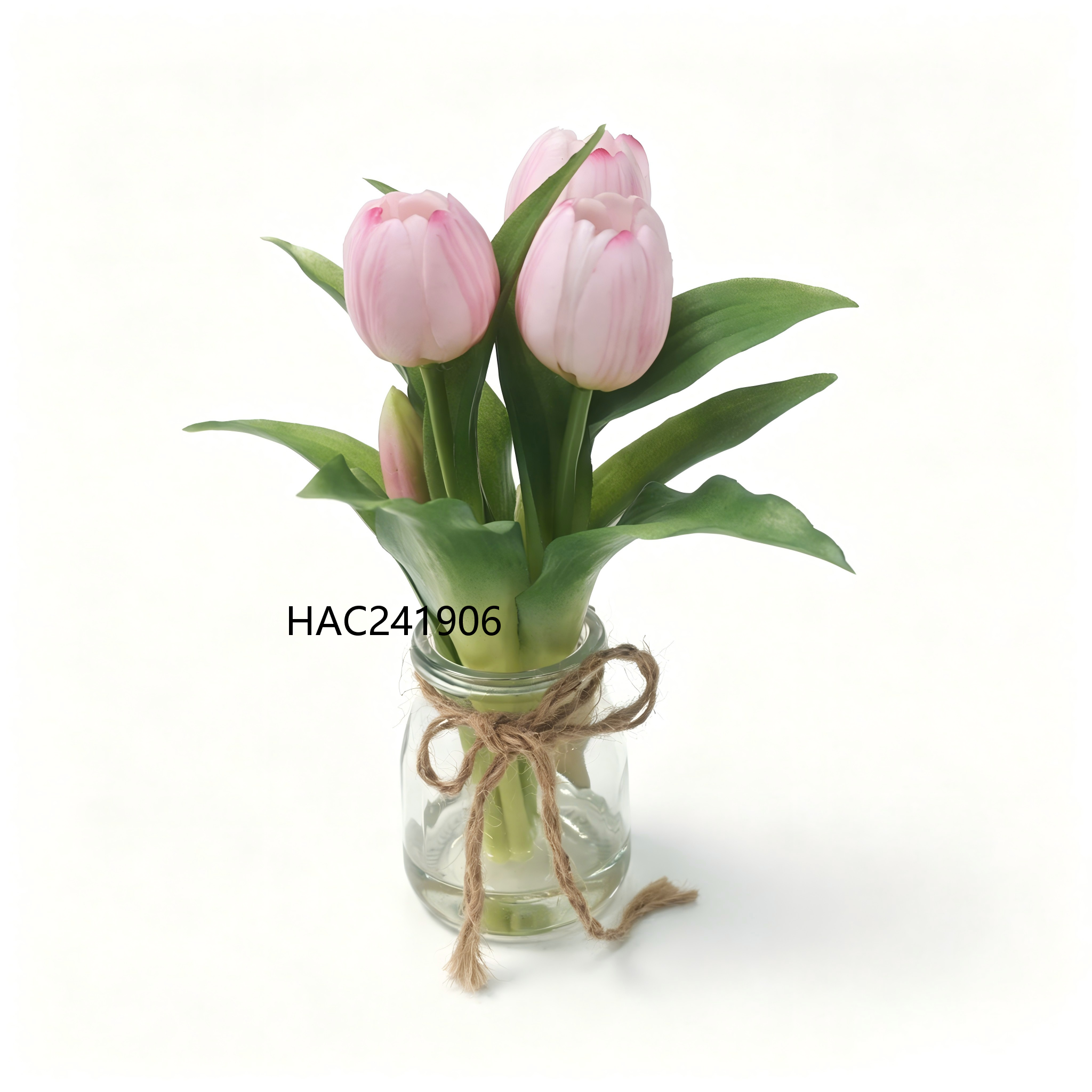HAC241906