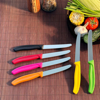Couteau à steak portable en acier inoxydable, coloré, pour desserts, fruits et tomates, à lame dentelée, avec manche en PP, pour cuisine et table.