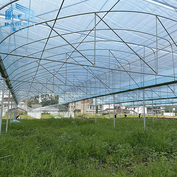 木の花トマトバラのためのプラスチックフィルム温室形マルチスパン大温室