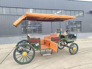 White Royal Horse Carriage Fabricante Wedding Vehicle Wagon Sightseeing Electric Horseless Carriage - Product Image 4