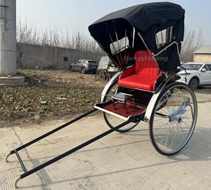 Rickshaw Romántico y clásico Rickshaw Venta caliente de alta calidad Rickshaw negro de dos filas - Product Image 6
