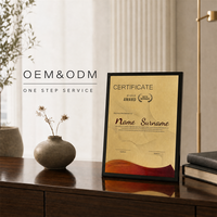 Plaque de récompense en aluminium brossé doré avec bord noir, support de bureau pliable, personnalisable OEM ODM, trophée métallique