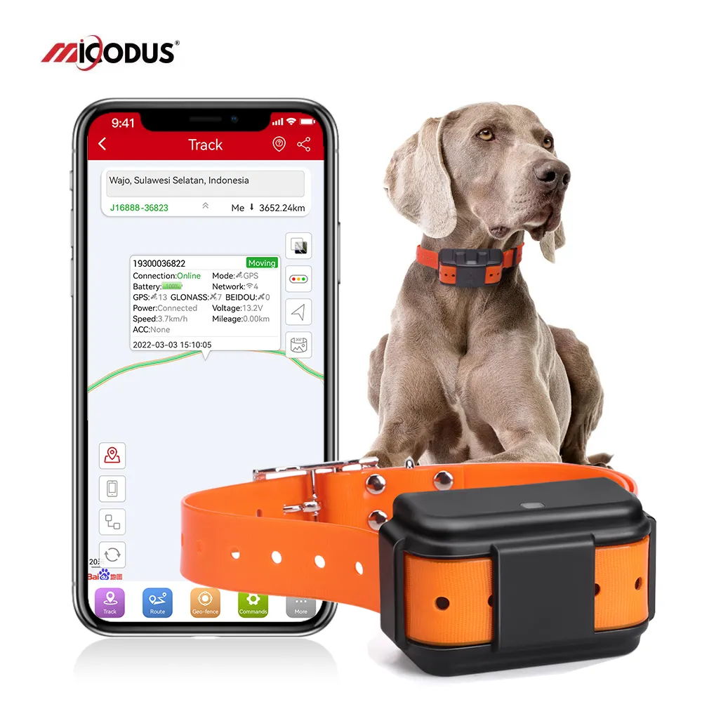 MP50G 4G traccia la posizione del cane da caccia in tempo reale mappa di Goole Tracker per animali Micodus bovini dispositivo di localizzazione Gps per mucche Tracker Gps Tracker