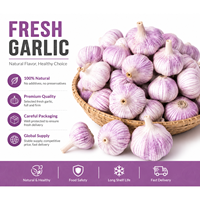 Ail frais à peau violette, naturel chinois, emballage personnalisé OEM, vente en gros en vrac, marque privée, carton et sac en filet sur mesure