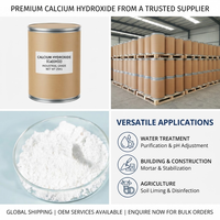 Hydroxyde de calcium industriel en poudre hydraté à 95 % pour le traitement des eaux usées, la construction et l'agriculture (vente en gros)