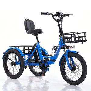 Tricycle électrique pliable de 20 pouces pour adultes, cadre en aluminium, moteur sans balais, 7 vitesses, panier de rangement de style sac à dos - Product Image 1