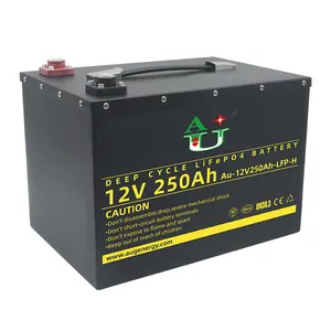Customized Deep Cycle Life AGM Battery 12V Lifepo4 Lithium Battery 100 ah 120 ah 172 ah 200 ah 250 ah 300 ah Power Supply