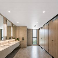 Panel de Techo para Baño de PVC Blanco Mate, Resistente al Moho, Comercial, WYRAX