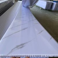 Plafonds légers en plastique, tuiles de toiture en PVC, panneaux de plafond haute brillance pour hall intérieur
