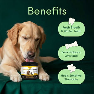 Friandises à mâcher vitaminées pour animaux de compagnie avec extraits naturels de plantes pour chiens et chats - Absorption rapide, soutien immunitaire, digestif, articulaire et cardiaque - Product Image 2