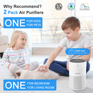 Purificateur d'air portable intelligent pour la maison avec filtre à charbon, vente directe, prix de gros - Product Image 6