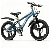 Bisiklet 20 "BMX bisiklet/üretim iyi fiyat ücretsiz tarzı bisiklet 20 inç sokak BMX bisiklet ile disk fren