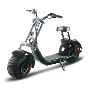 1500w SC-10 avrupa depo elektrikli motosiklet yetişkin citycoco elektrikli scooter ile EEC