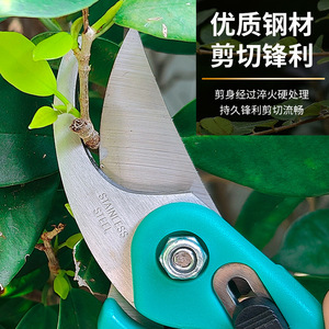 Pinheng Bypass Pruning Shears Stainless Steel Green Manual Garden <b>Flower</b> Branch Cutting Scissors Safety Lock Handle - Product Image 2